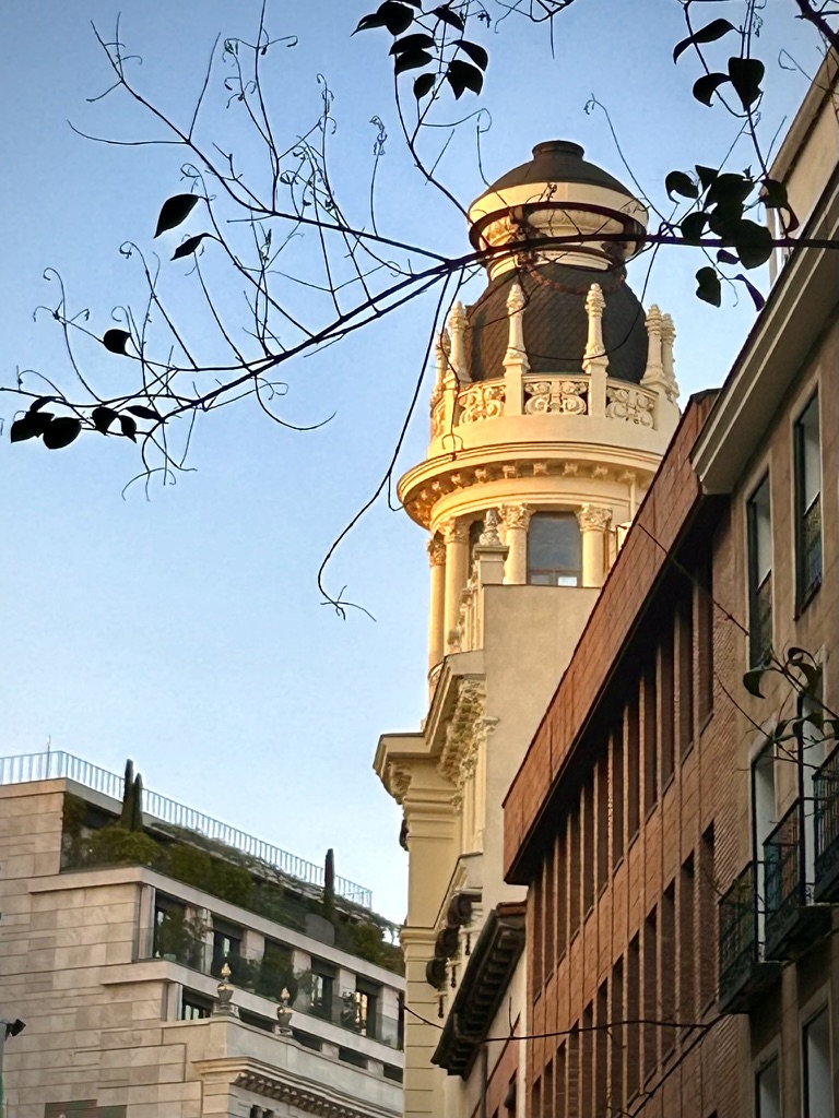 Torre de un edificio de Madrid iluminada entre ramas
